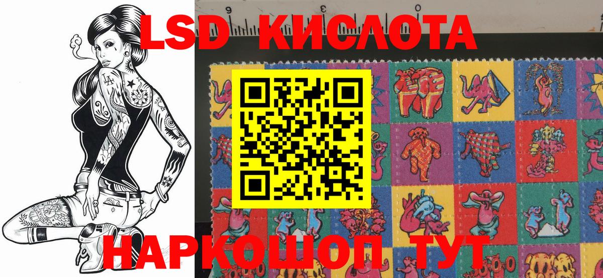 Наркотические марки 1,5мг Губкин