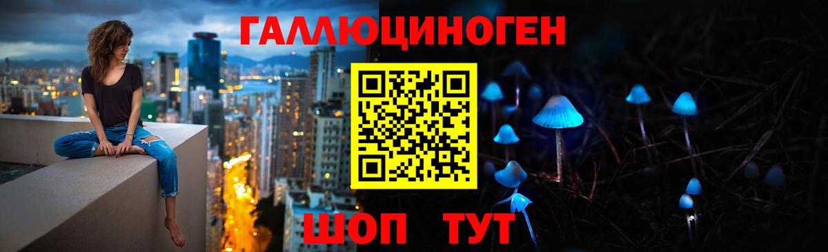 Псилоцибиновые грибы мицелий  Вход с VPN  закладки  Губкин  Галлюциногенные грибы Psilocybine cubensis 