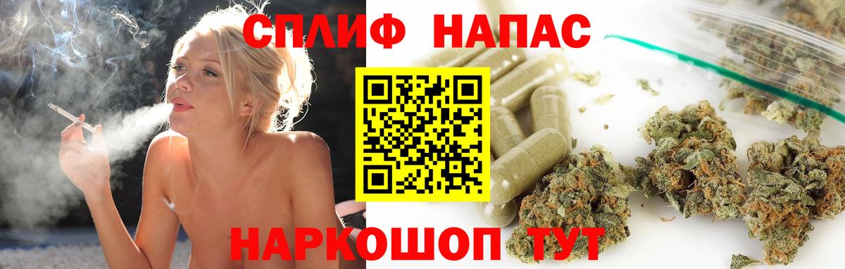 Бошки марихуана планчик Губкин
